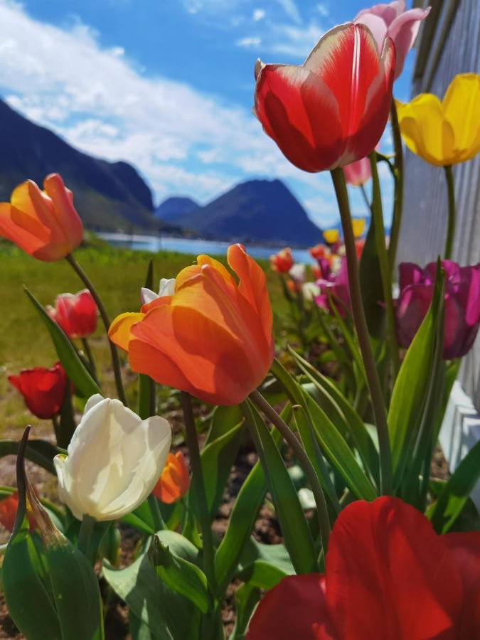 Banpim Beachside Lofoten Ramberg Exteriör bild